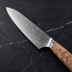 Isshin Gyuto Chef Knife