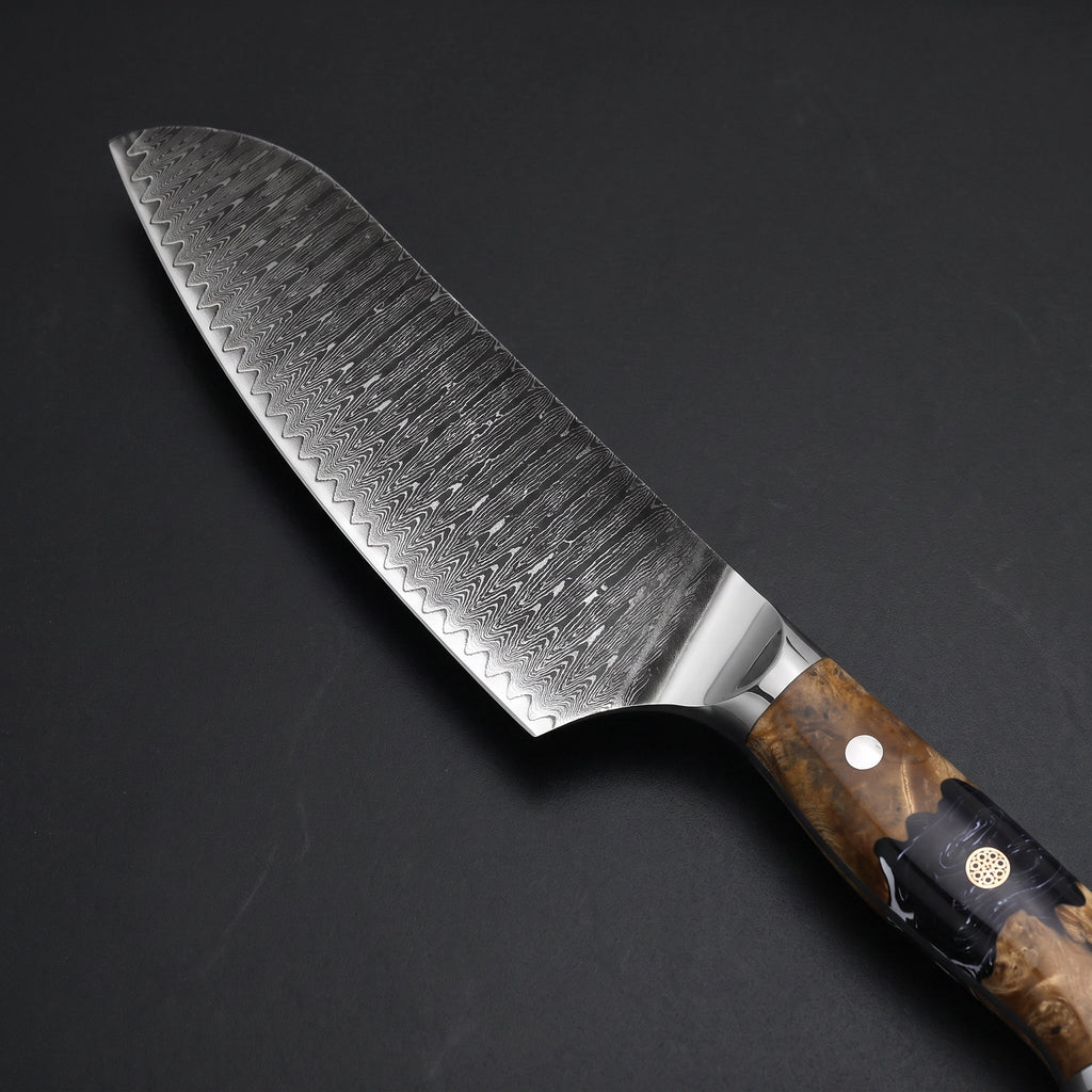 Seiryu Santoku All-Purpose Knife