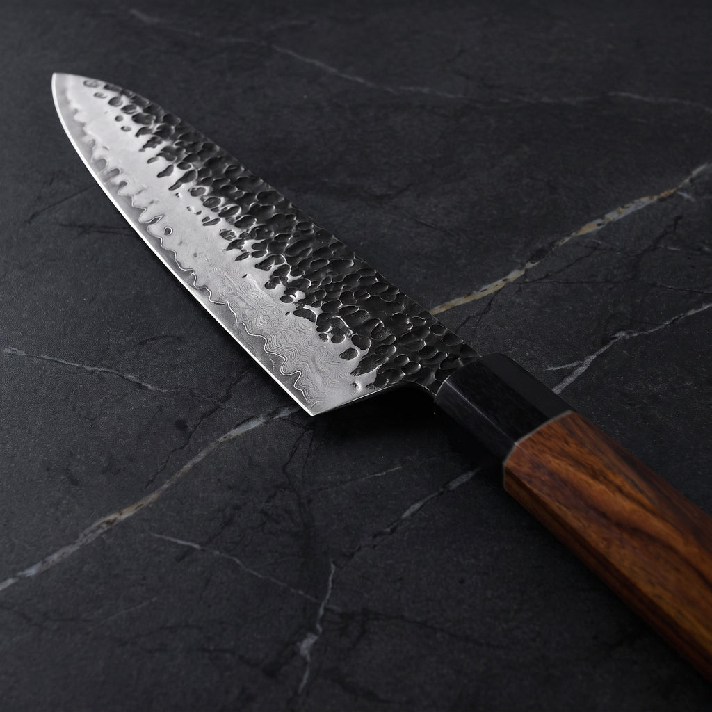Reppu Gyuto Chef Knife
