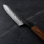 Reppu Gyuto Chef Knife