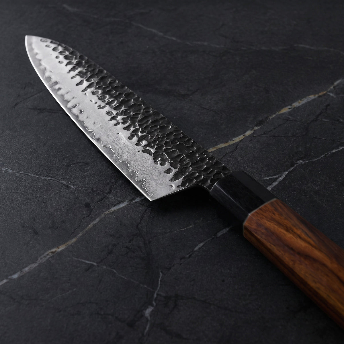 Reppu Gyuto Chef Knife