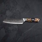 Seiryu Santoku All-Purpose Knife