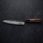 Reppu Gyuto Chef Knife