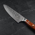Kikyou Gyuto Chef Knife
