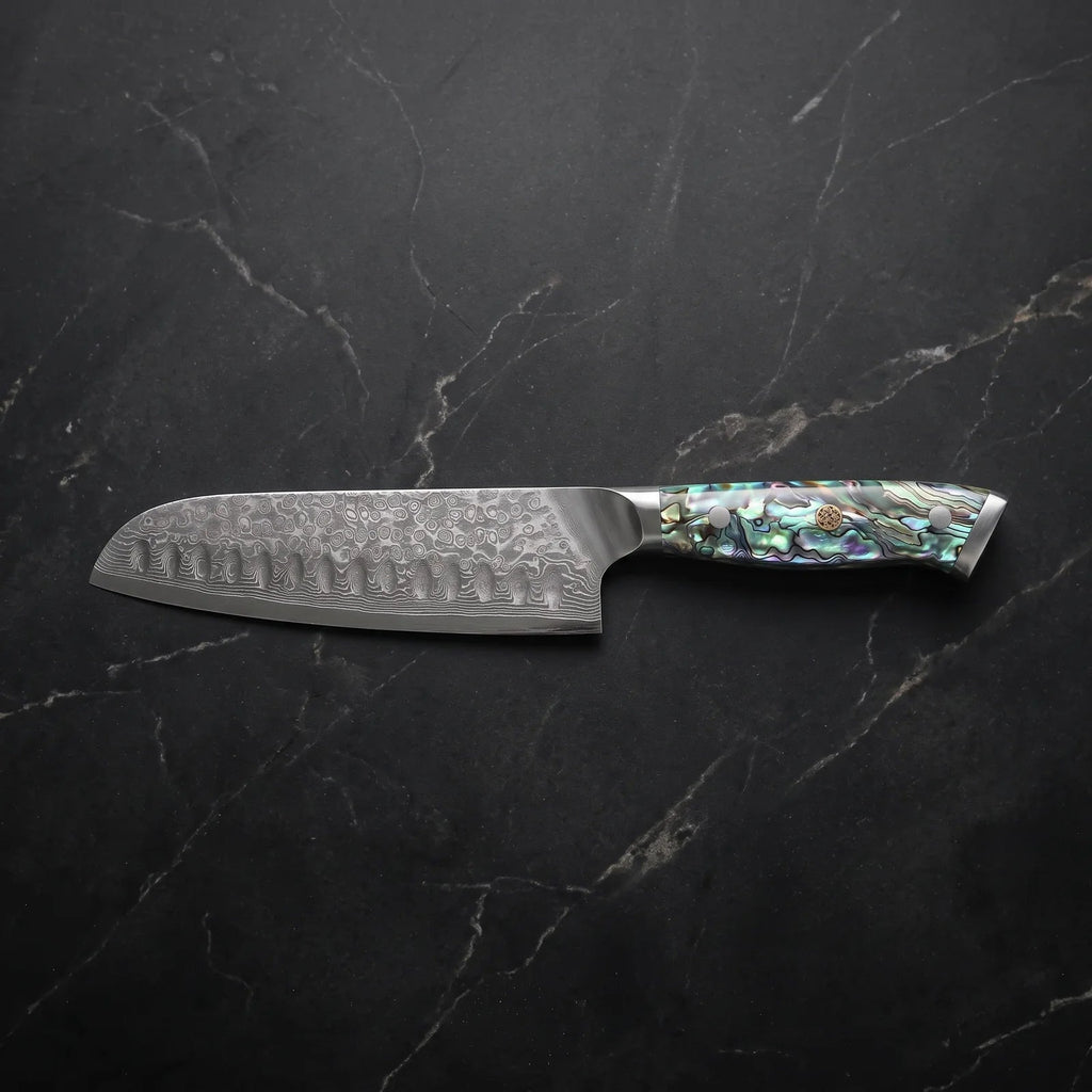 Nagisa Knife Duo (Gyuto & Santoku)