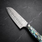Nagisa Santoku All-Purpose Knife