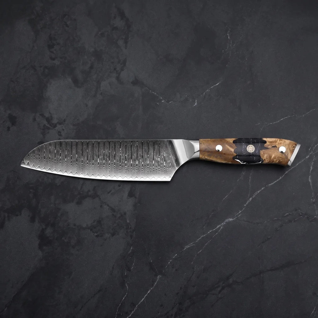 Seiryu Knife Duo (Kiritsuke & Santoku)